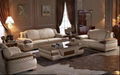 Living Room Sofa H102  1