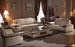 Living Room Sofa H102 