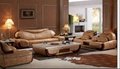 Living Room Sofa H102  4