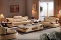Luxury Living Room Sofa Set H111