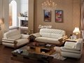 2013 Leather Living Room Sofa Set H128