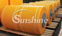 SUNSHINE suppling Abrasion resistant  Pendant Buoy