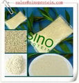 Isolated Soy Protein (SINO9002) 1