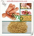 Isolated Soy Protein (SINO9003) 4