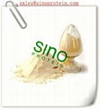 Concentrated Soy Protein (SINO680) 2