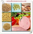 Concentrated Soy Protein (SINO700) 4