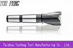 2 Flutes HSS End Mill Cutter