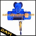 electric wire rope hoist