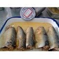 Hot Canned Sardines  1