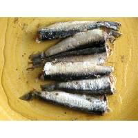 canned sardine in fish