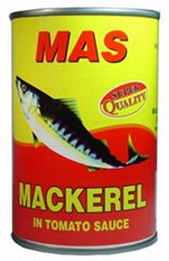 hot canned mackerel in tomato sauce