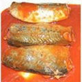 hot canned mackerel in tomato sauce 2