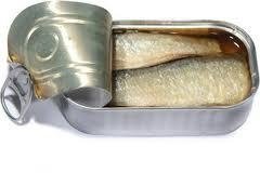 fresh fish in canned hot canned sardines