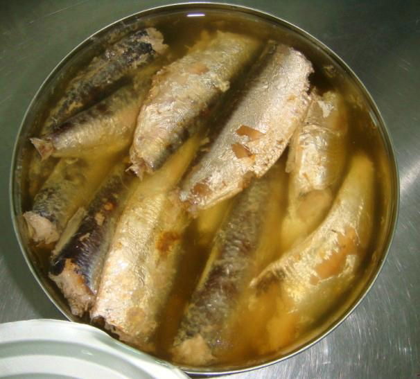 fresh fish in canned hot canned sardines 2