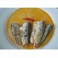 canned mackerel with good quality 1