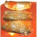 canned mackerel with good quality 2