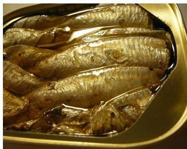 Good Quality Sardine canned