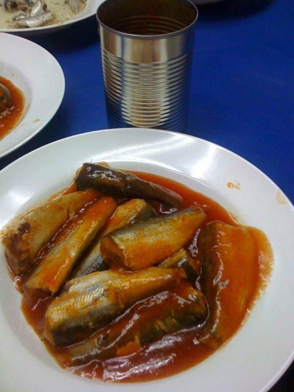 Good Quality Sardine canned 2