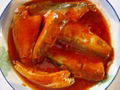 Good Quality canned Mackerel in tomato sauce 1