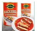 Good Quality canned Mackerel in tomato sauce 2