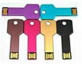 Key usb drive 1