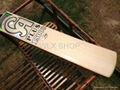 CA PLUS 15000 Limited Edition CRICKET BAT