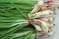 Green Onion For Sell 1