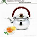 Stainless steel tea kettle