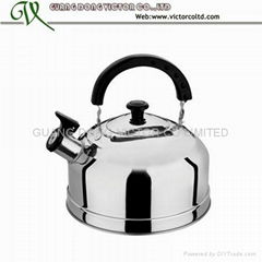 Stainless steel kettle