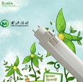 T5 Energy-saving fluorescent lamp passed CE,SAA,UL 5