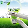 T5 Energy-saving fluorescent lamp passed