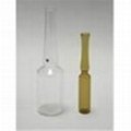 clear and amber glass ampoule