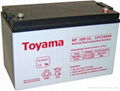 12V100AH sealed lead acid batteries AGM