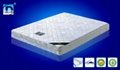 Foam mattress 1