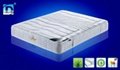 5 zones pocket spring mattress