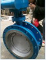 Butterfly Valves 2