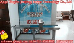 egg printing machine