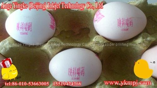 egg printing machine 2