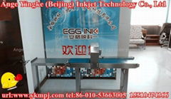 egg code printing machine for Peru 