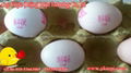 egg code printing machine for  Lithuania 1