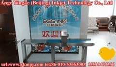 egg code printing machine for Russian Feduration