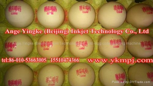 egg inkjet printing machine for Malaysia  3