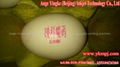 egg inkjet printing machine for Malaysia  4