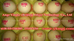 egg inkjet printing machine for Cameroon