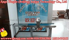 egg code inkjet printing machine for Cameroon