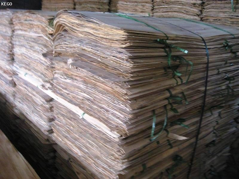 Acaica core veneer for plywood 