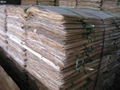 Acaica core veneer for plywood