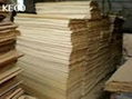 eucalyptus core veneer