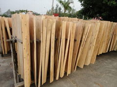 eucalyptus core veneer