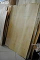 Eucalyptus core veneer